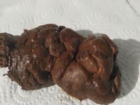 Thick Turd Australian Man 05 (2 Angles)